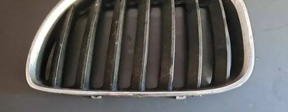 BMW X5 E53 Front bumper upper radiator grill 51137124815
