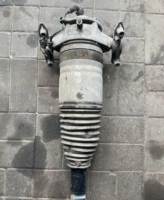 Porsche Cayenne (92A) Rear shock absorber with coil spring 7P5616020AG