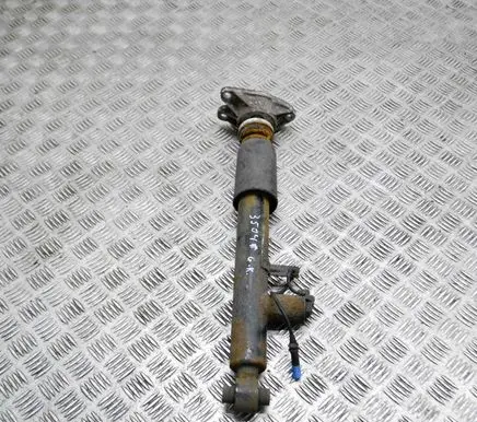Rear shock absorber/damper