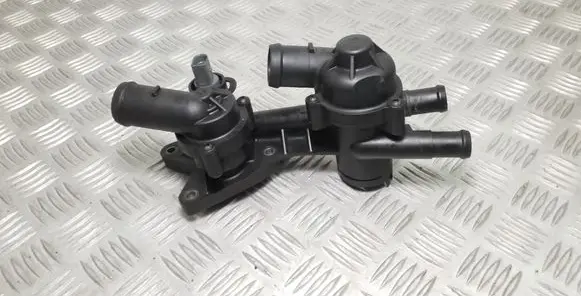 Thermostat/thermostat housing