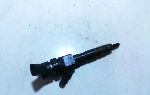 Renault Megane II Fuel injector 8200100272 0445110110b