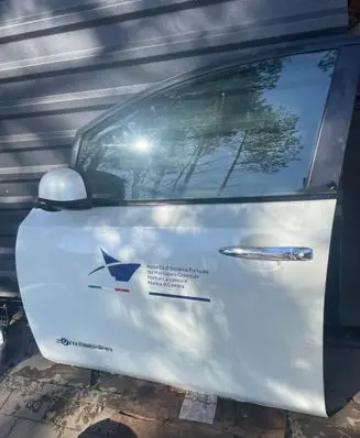 Nissan Leaf I (ZE0) Front door