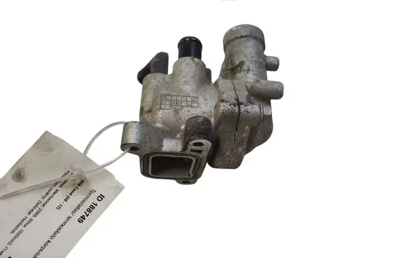 Thermostat/thermostat housing