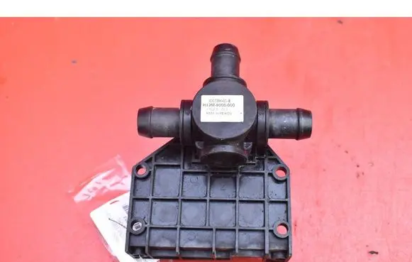 Tesla Model S Water pump 6007384-00-B