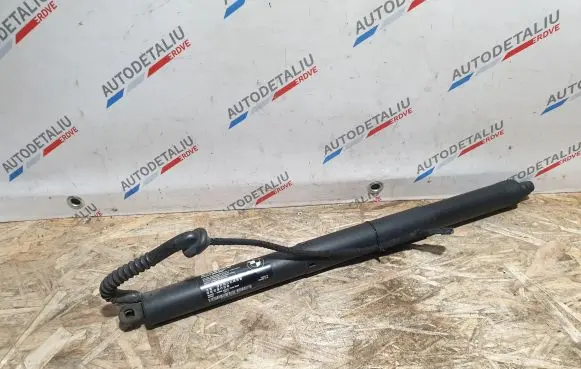 Tailgate strut