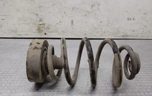Volkswagen PASSAT B5 Rear coil spring