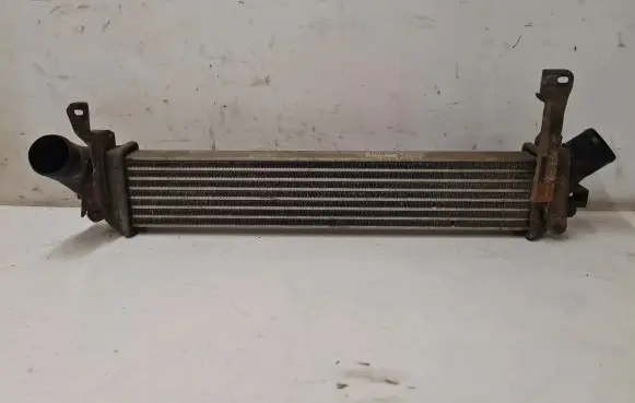 Renault Kangoo I Intercooler radiator 8200221885 0102100801050611