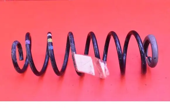Rear coil spring