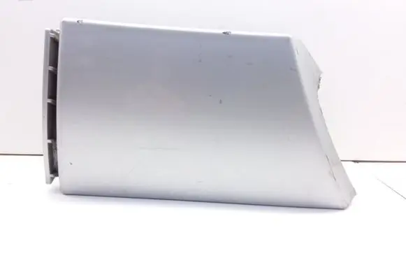 Rear/tail light trim molding