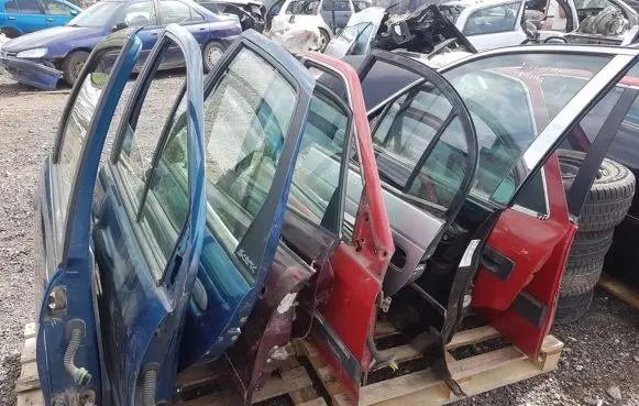 Renault Scenic I Front door melynos