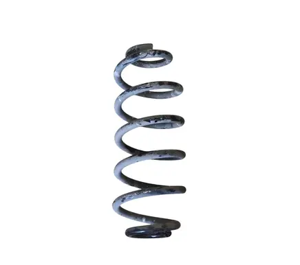 Rear coil spring