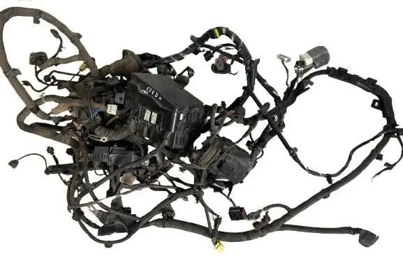 KIA Ceed Other wiring loom BPGAFACE10K P45346590