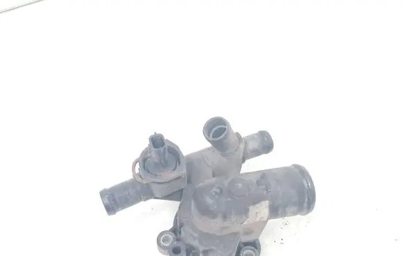 Thermostat/thermostat housing