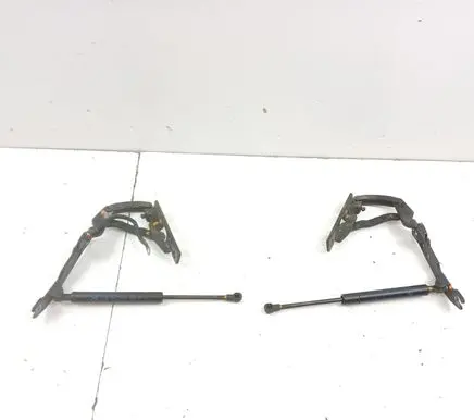 BMW X5 E53 Engine bonnet/hood hinges 8402173 8402551 8402174