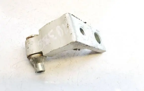 Fiat Punto (199) Front door upper hinge