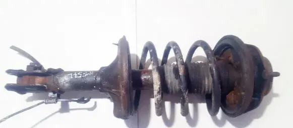 Front coil spring