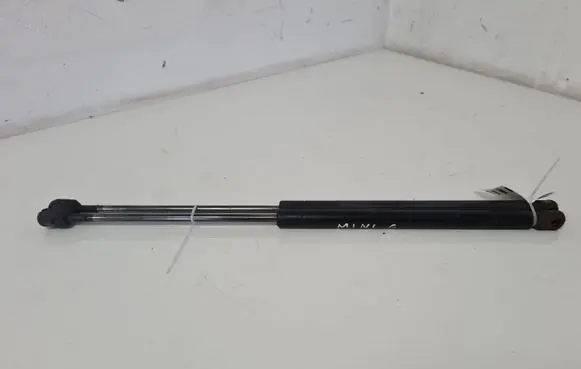 Tailgate strut