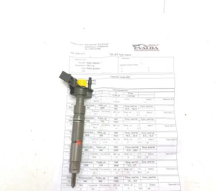 Chrysler 300 - 300C Fuel injector A6420701387 0445115064