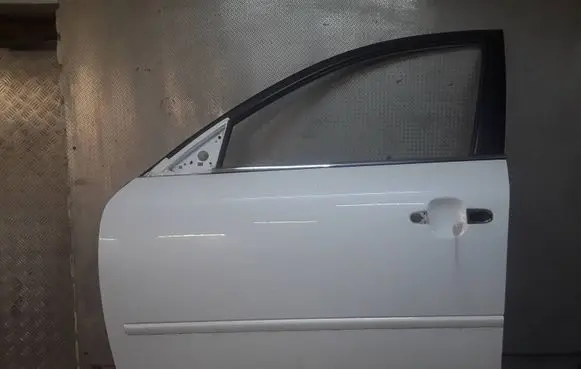 Hyundai Sonata Front door 