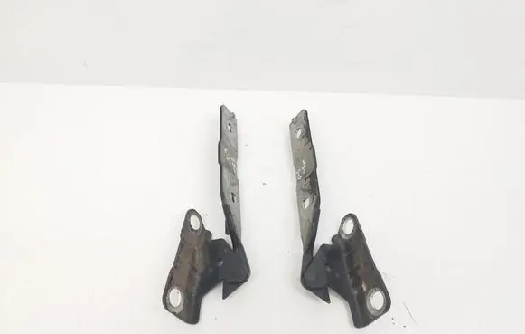 Engine bonnet/hood hinges