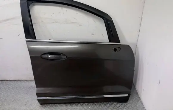 Ford Ecosport Front door