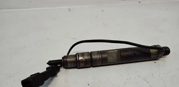 Seat Alhambra (Mk1) Fuel injector 028130201J