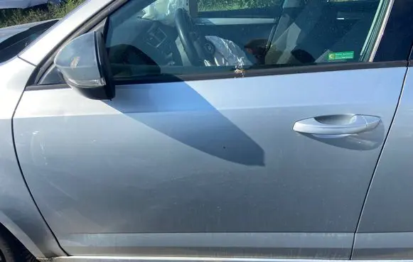 Skoda Octavia Mk3 (5E) Front door 