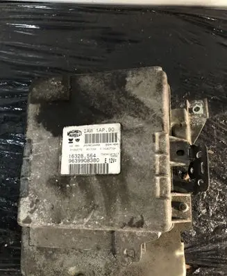 Peugeot 206 Engine control unit/module 9639908380