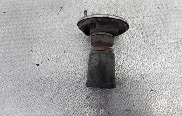 Coil spring mount
