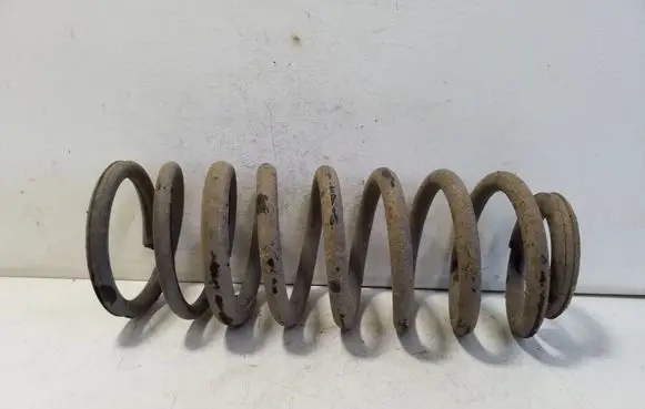 Rear coil spring