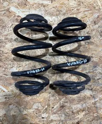 Rear coil spring