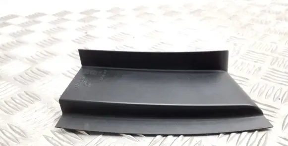 Rear/tail light trim molding