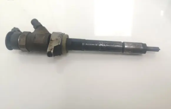 Citroen Berlingo Fuel injector 0445110311 8862405991401