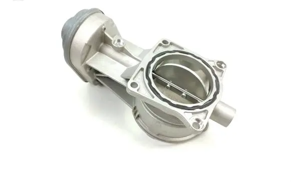 Throttle body valve