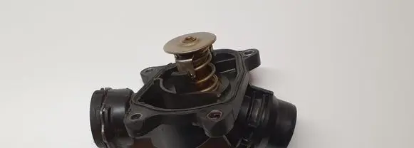 Thermostat/thermostat housing