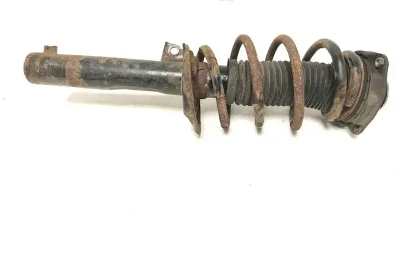 Volkswagen Tiguan Front shock absorber/damper 5N0413031K