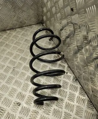 Rear coil spring