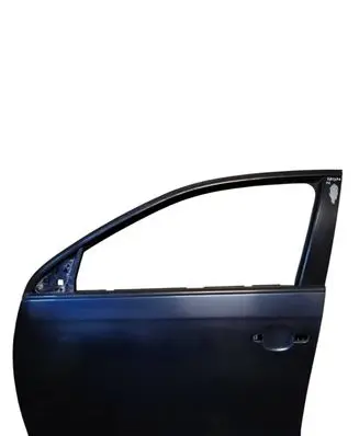 Volkswagen Golf V Front door