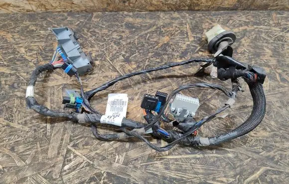 Cadillac DeVille Rear door wiring loom 257214