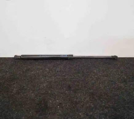 Tailgate/trunk strut/damper