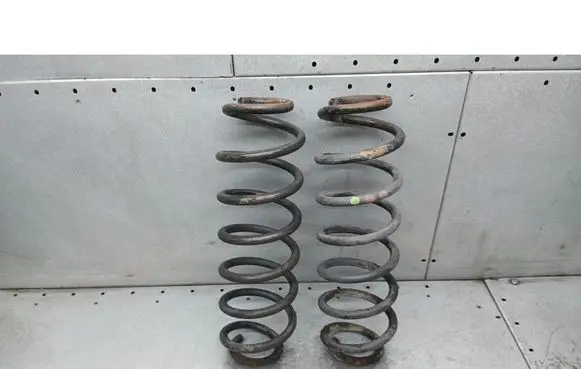 Skoda Roomster (5J) Rear coil spring 