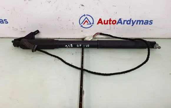 Tailgate/trunk strut/damper