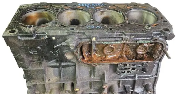 Hyundai Terracan Engine block 