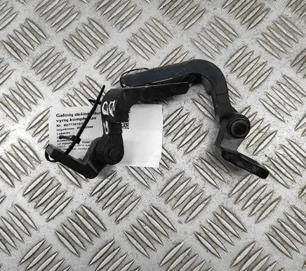 Rear door hinge set