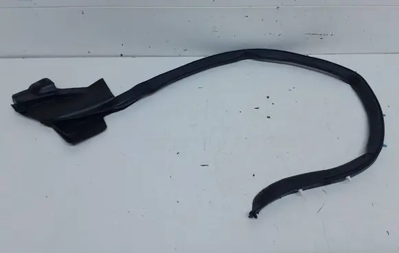 Tesla Model S Rubber seal rear door 600959600D