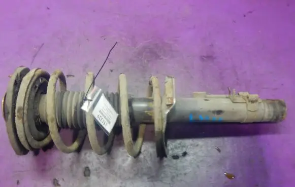 Peugeot 206 Front shock absorber with coil spring