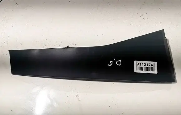 Volkswagen PASSAT B6 Other rear door trim element 