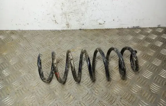Nissan Qashqai Rear coil spring
