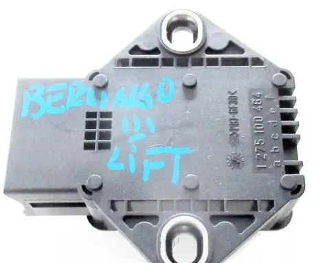 Citroen Berlingo Other control units/modules 9666173080 7064260