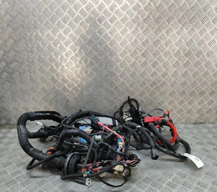 Tesla Model Y Other wiring loom 248905808B